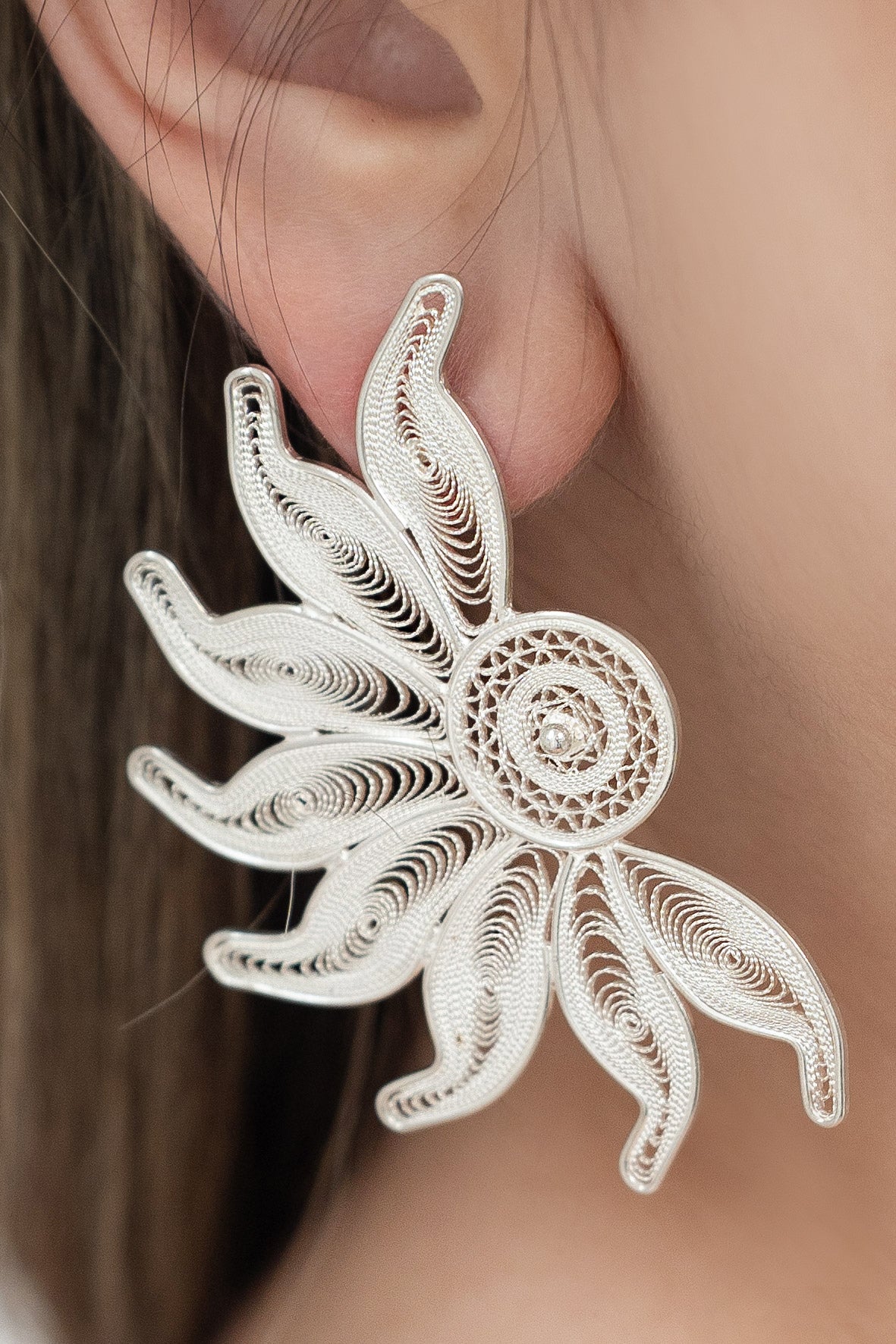 Caravana Firework Plata 925